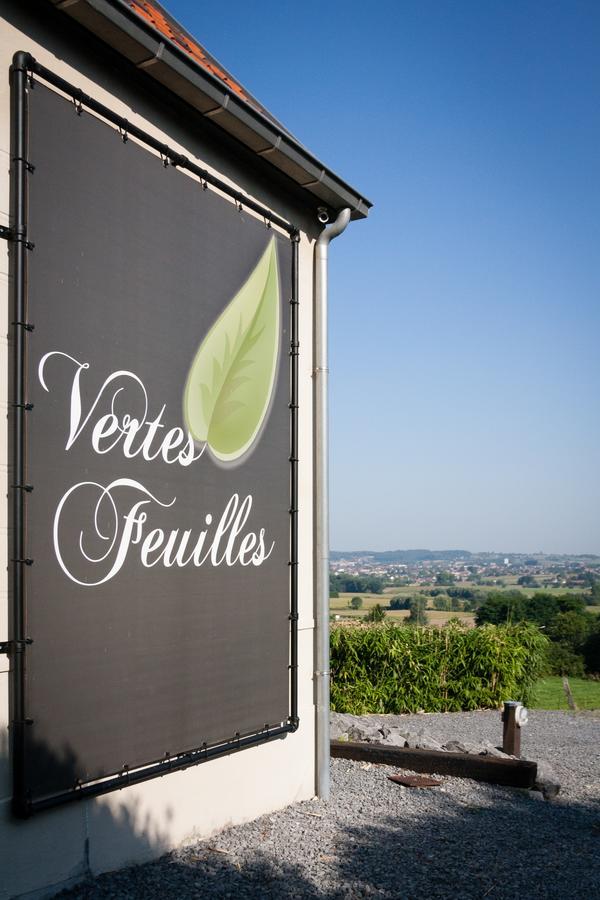 Vertes Feuilles Saint-Sauveur Kültér fotó