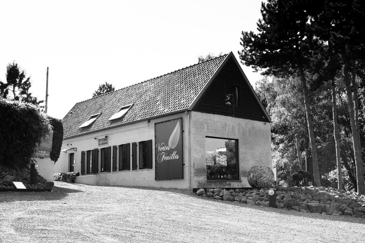 Vertes Feuilles Saint-Sauveur Kültér fotó